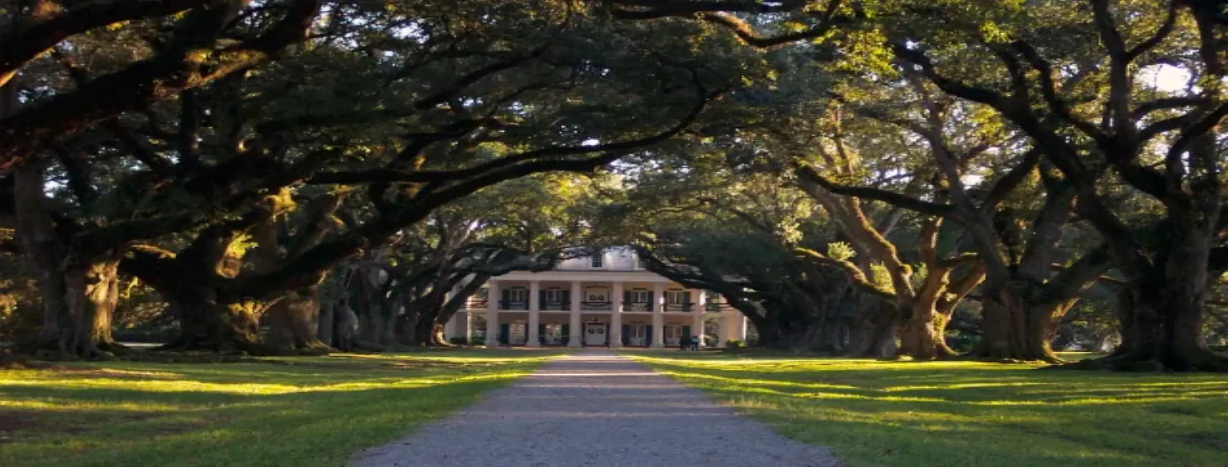 Image for Oak Alley Majesty